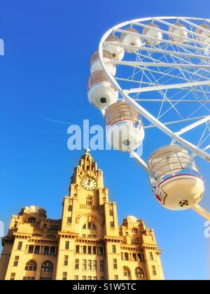 Royal Liver building and big wheel in Liverpool Stock Photo