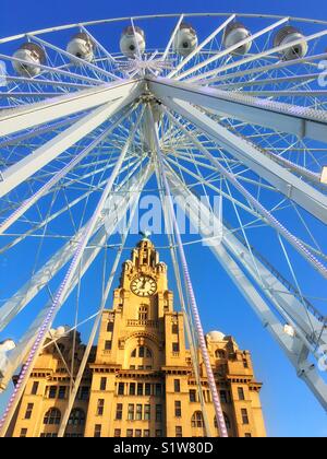 Royal Liver Building in Liverpool seen through a giant Ferris wheel against a blue sky Stock Photo