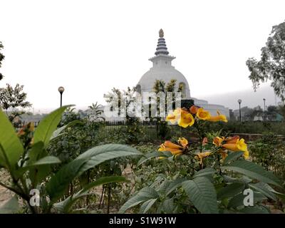 Beautiful Landscape of “Vishwa shanti stupa”.The Vishwa Shanti Stupa, also known as the World Peace Pagoda is located in the heart of Delhi in the Indiraprastha Park. Stock Photo