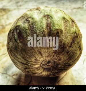 Custard apple, Annona Squamish, also known as Cherimoya, Chirimoya, Sweetsop, Sugar-apple, Stock Photo