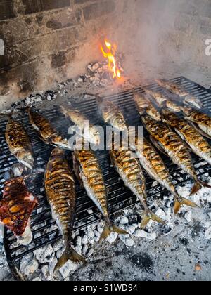 Mackerel fish on the grill Stock Photo