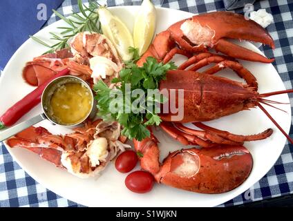 Lobster on a plate Stock Photo