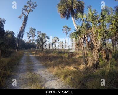 Hillsborough River State Park. Tampa, Florida. Stock Photo