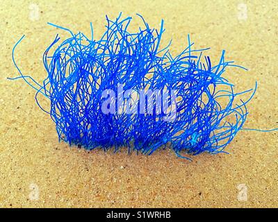 Plastic waste and nylon fishing netting collected from beach Porthllisky, St  Davids, Pembrokeshire, West Wales Stock Photo - Alamy