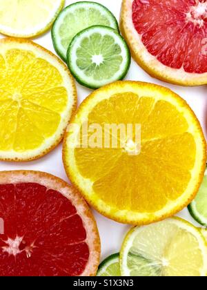 Citrus fruit slices on a white background Stock Photo