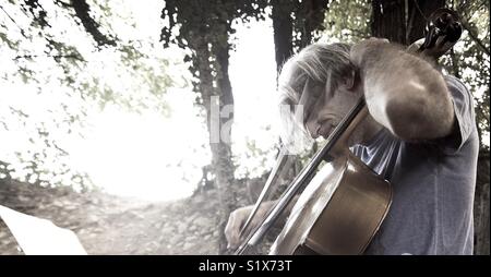 Cello Stock Photo