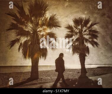 A lone man walks along a path and in between two palm trees. An antique effect image with mood, atmosphere & interest! Photo Credit - © COLIN HOSKINS. Stock Photo