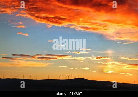 Wind farm ,southern Alberta, Canada Stock Photo