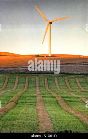 Wind farm ,southern Alberta, Canada Stock Photo