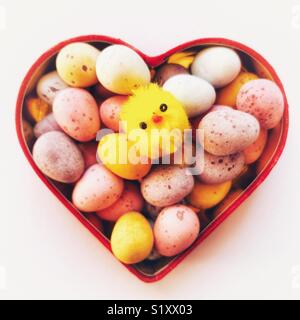 Chocolate Easter eggs in a heart shaped box with a tiny Easter chick Stock Photo