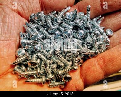 Screws in the hand Stock Photo
