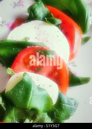 Close up of mozzarella, tomato slices and basil salad Stock Photo