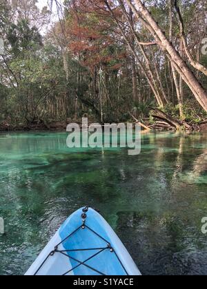 Weeki Wachee, Spring, Water park, Weeki Wachee Springs, State Park