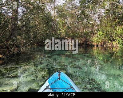 Kayaking Weeki Wachee Springs State Park in Florida Stock Photo