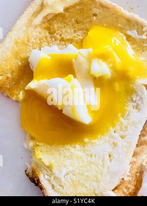 Eating poached egg on white toast Stock Photo
