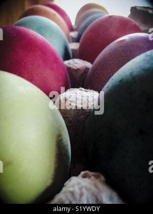 Rows of colorful Easter eggs in egg carton Stock Photo