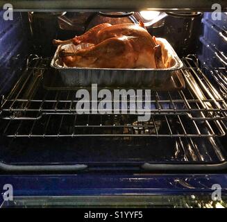 Golden brown turkey cooking in a home oven Stock Photo