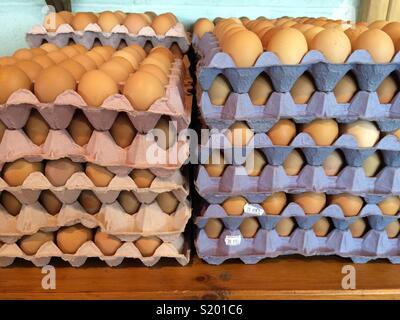 Dozens of eggs in stacked trays Stock Photo