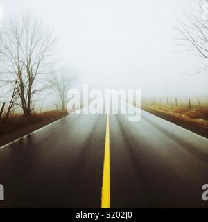 Looking down wet, shiny road with yellow line with fog and trees in background Stock Photo