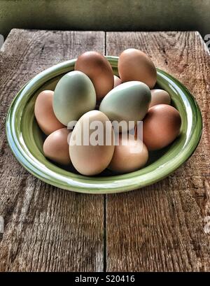 Freshly collected backyard chicken eggs in green bowl on wood table Stock Photo