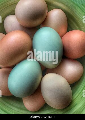 Freshly collected colorful backyard chicken eggs in a green bowl Stock Photo