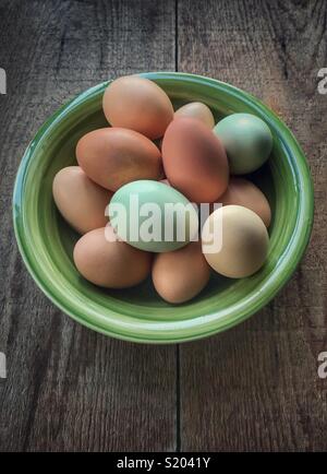 Freshly collected colorful backyard chicken eggs in in green bowl on a wood table Stock Photo