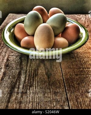 Freshly collected colorful backyard chicken eggs in a green bowl on a wood table Stock Photo