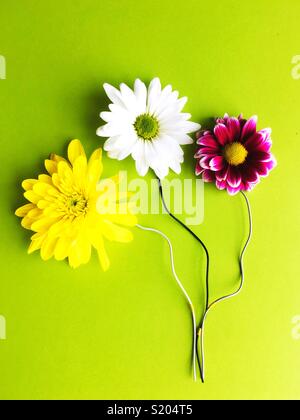 Flowers with electrical wires for stems. Stock Photo