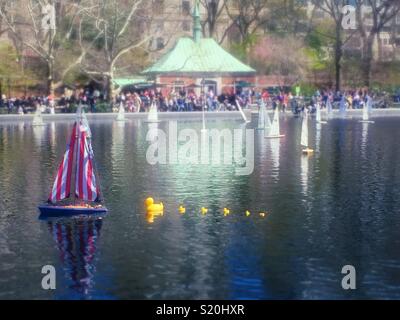 Remote control sailboat toys and whimsical rubber ducky parade at the Conservatory water on a spring afternoon day, Central Park, New York City, USA Stock Photo