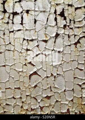 Peeling paint on a rusty metal door, Luk Keng, New Territories, Hong Kong Stock Photo