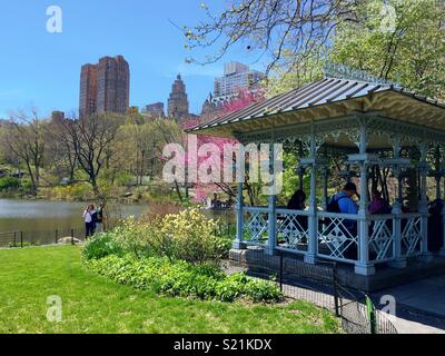 Springtime, Central Park, NYC, USA Stock Photo - Alamy
