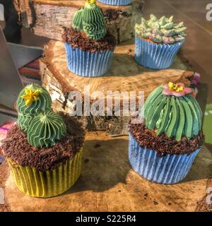 Cactus shaped cupcakes for sale to celebrate Cinco de Mayo on May 5th. Stock Photo