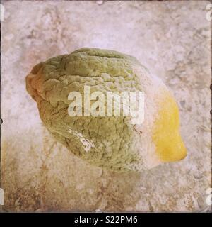Mold covered lemon on a kitchen counter Stock Photo