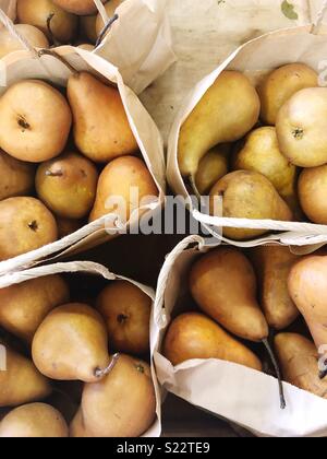 Bags of beurre Bosc pears at farmers market Stock Photo