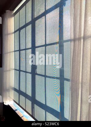 Sunlight streams through a casement window in a New York City apartment, NYC, USA Stock Photo