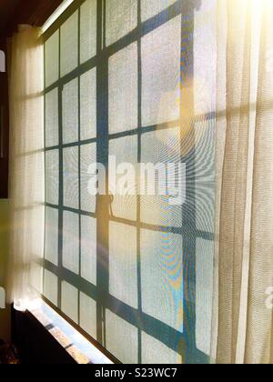 Sun light streams through casement windows in in New York City apartment, USA Stock Photo