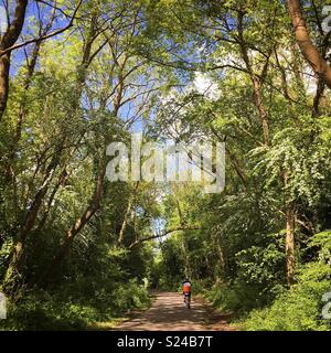 Riding along a disused railway line trail near Winchester, Hampshire, in glorious May sunshine. Stock Photo