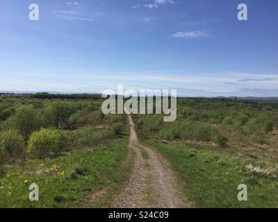 Eglinton Country Park, Scotland Stock Photo