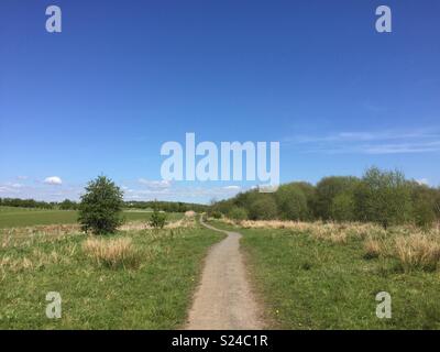 Eglinton Country Park, Scotland Stock Photo