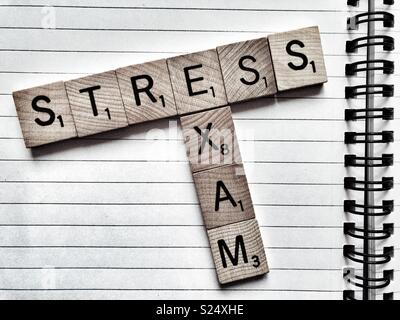 Exam Stress in wooden letters on an open, empty, spiral bound notebook Stock Photo