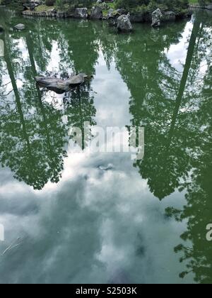 Calming water reflects tall trees in Nishinomiya Tsutakawa Japanese Garden, a place where nature, tranquility and beauty come together Stock Photo