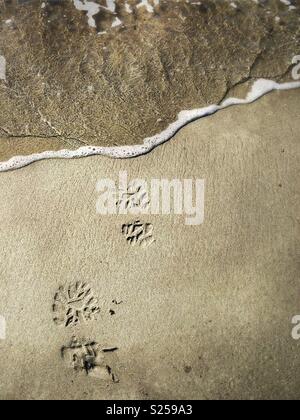 Boot prints on the beach, about to get washed away Stock Photo