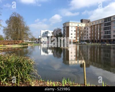 Hemel Hempstead Water Gardens Stock Photo