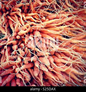 Large bunch of organic carrots on a market stall. Mobile phone photo with some mobile phone/tablet style processing. Stock Photo