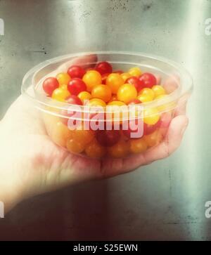 Adult hand holding clear plastic bowl full of Tomberry tomatoes Stock Photo