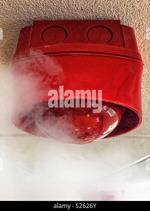 Close up image of a ceiling mounted fire alarm siren about to be engulfed by smoke Stock Photo