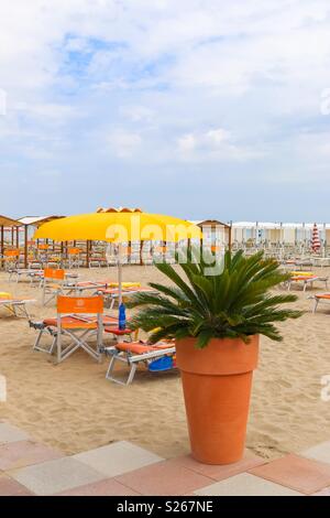 Large pot of flowers on an empty beach, Italy, Riccione Stock Photo