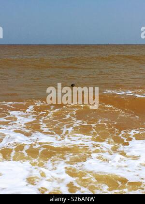 The Golden Sea Waters at Norfolk in England Stock Photo