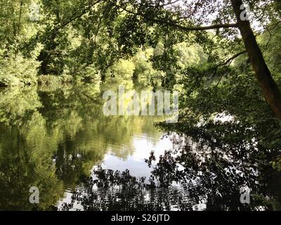 Woodchester national trust Stock Photo