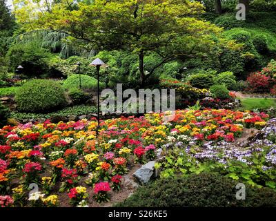 Flower beds in full bloom at beautiful Butchart Garden near Victoria BC Stock Photo